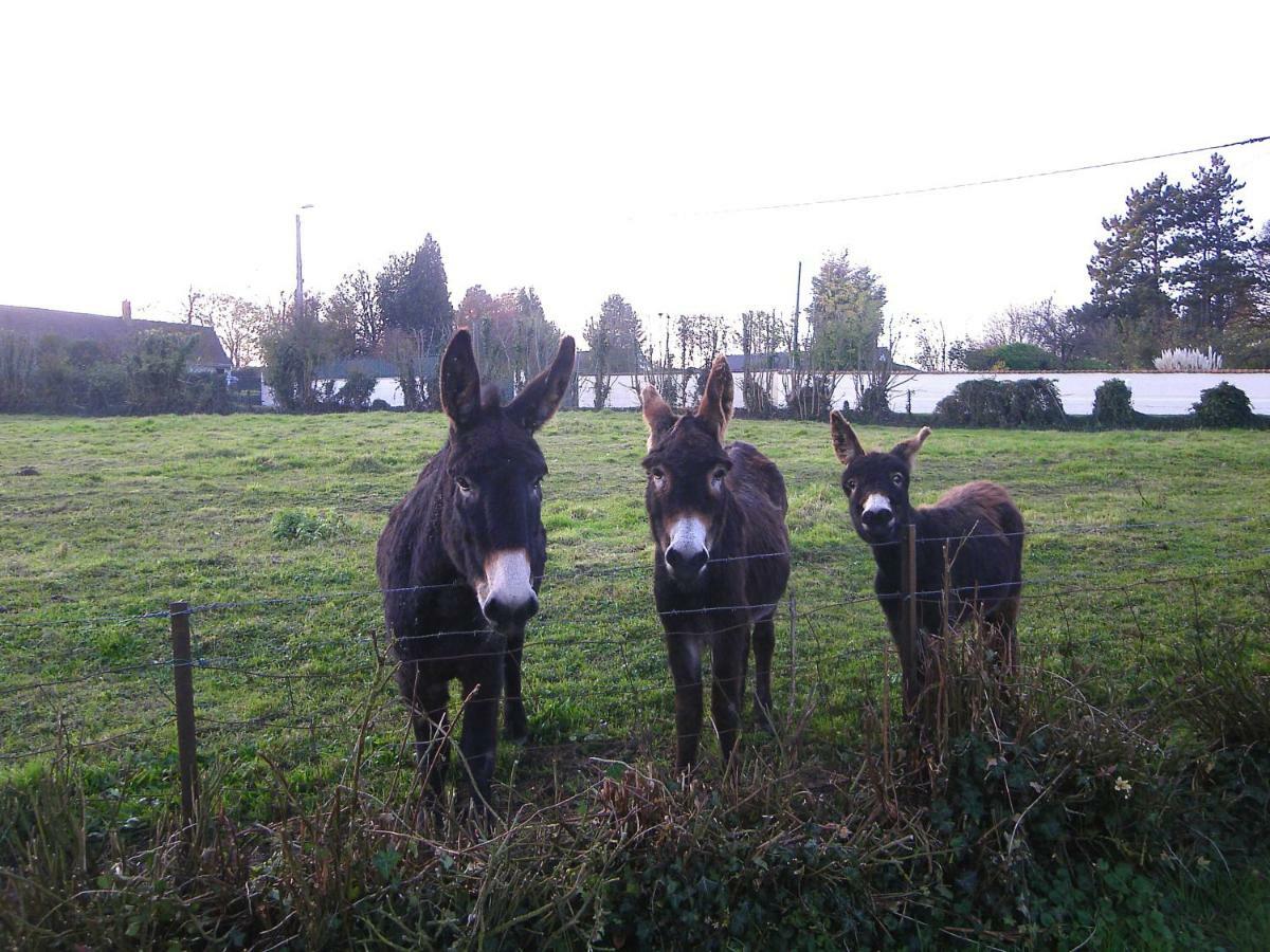 Villa La Ferme De Tigny Esterno foto